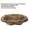 Small Flower Faux Rock Fiberglass Garden Decorative Water Pond, 17 Gallon Sandstone Outdoor Patio Bed Waterfall Pond